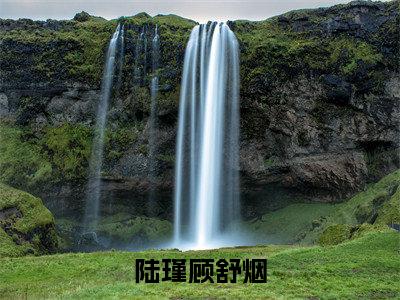 陆瑾顾舒烟小说（陆瑾顾舒烟最新全章节大结局）陆瑾顾舒烟全文阅读