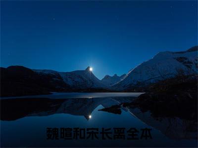 魏暄和宋长离全文免费阅读无弹窗大结局_魏暄和宋长离小说免费阅读