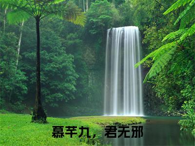 精选热门小说慕芊九君无邪（慕芊九，君无邪）-（慕芊九，君无邪）慕芊九君无邪免费阅读