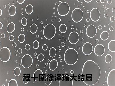 程十凰徐泽瑜（程十凰徐泽瑜）最新章节免费阅读全文-程十凰徐泽瑜完结小说在线阅读