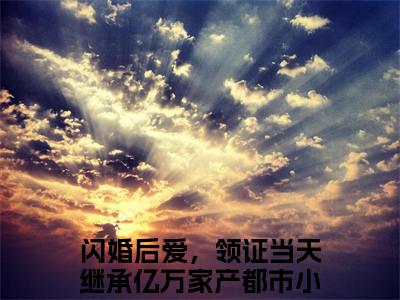 小说闪婚后爱，领证当天继承亿万家产全文阅读-唐诺宁霄小说闪婚后爱，领证当天继承亿万家产大结局