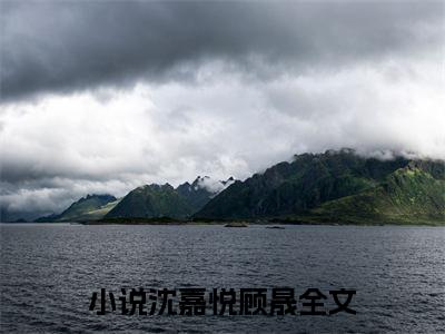 沈嘉悦顾晟（不肯无）在线阅读-沈嘉悦顾晟小说不肯无完整版免费阅读