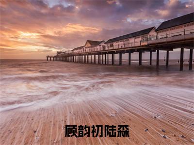 顾韵初陆森(顾韵初陆森)全文免费阅读无弹窗大结局_（顾韵初陆森）的小说最新章节列表
