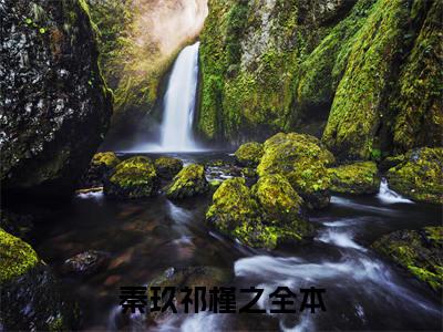 秦玖祁槿之免费小说 秦玖祁槿之完结版在线阅读