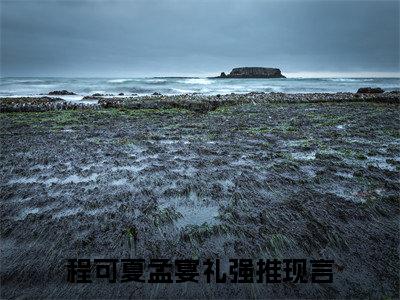 （程可夏孟宴礼）抖音程可夏孟宴礼小说阅读完结版-小说程可夏孟宴礼全文免费阅读