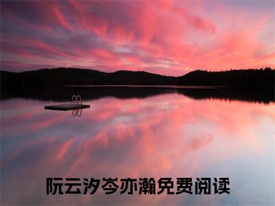 阮云汐岑亦瀚小说完整版在线阅读 阮云汐岑亦瀚精选小说推荐试读