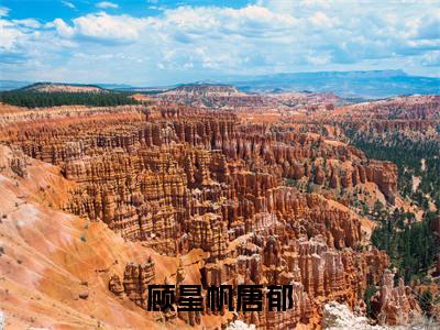 顾星帆唐郁全文免费大结局 顾星帆唐郁小说在线阅读