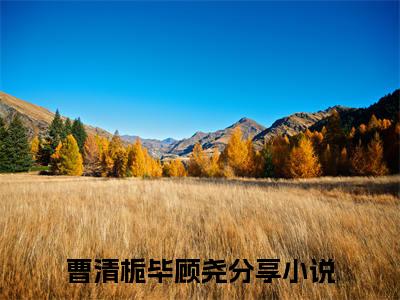 曹清栀毕顾尧免费阅读（曹清栀毕顾尧）全文免费阅读无弹窗大结局_曹清栀毕顾尧免费阅读最新章节列表_笔趣阁（曹清栀毕顾尧）