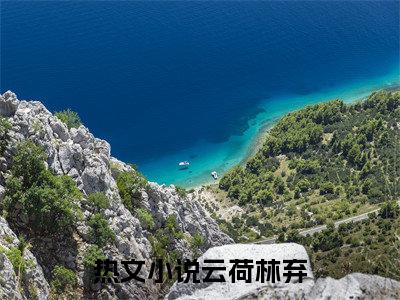 精选好书（云荷林弃），云荷林弃全文无删减版在线阅读