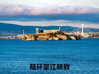 《陆环堂江林致》最新章节免费阅读-陆环堂江林致无广告小说精彩阅读