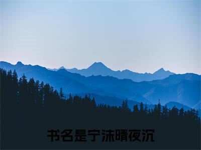 宁沫晴夜沉全文免费阅读无弹窗大结局_ (宁沫晴夜沉)最新章节列表笔趣阁