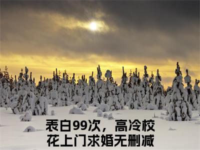 小说表白99次，高冷校花上门求婚全文免费阅读无弹窗大结局-顾三在线阅读