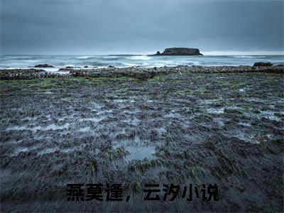 燕莫逢，云汐小说最新章节-燕莫逢，云汐在线全文免费阅读