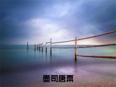 墨司唐粟最新更新热门榜单小说（墨司唐粟全集小说完整版笔趣阁）墨司唐粟全文阅读