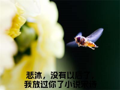 宋诗龄何悲沐(悲沐，没有以后了，我放过你了)全文免费阅读无弹窗大结局_宋诗龄何悲沐免费阅读最新章节列表_笔趣阁