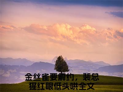 小说(裴焱沐青媃)全文免费阅读_(金丝雀要解约，裴总猩红眼低头哄)小说全文免费阅读