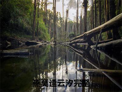 燕莫逢云汐小说（燕莫逢云汐）最新章节阅读-燕莫逢云汐免费阅读无弹窗大结局