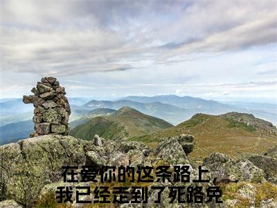 谢明哲明奚（在爱你的这条路上，我已经走到了死路）全文免费阅读无弹窗_在爱你的这条路上，我已经走到了死路最新小说_笔趣阁