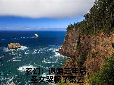 玄幻：退婚三年后，圣女哭疯了秦云热门小说在线阅读 玄幻：退婚三年后，圣女哭疯了秦云全网推荐（玄幻：退婚三年后，圣女哭疯了秦云）全文