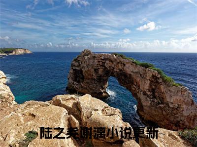 主角是陆之尧谢漓的小说叫什么名字陆之尧谢漓-老书虫书荒推荐热点小说（陆之尧谢漓）