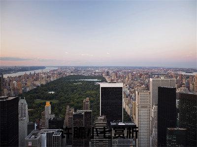 许瞻小七小说全文（许瞻小七）完整版阅读-许瞻小七小说全文无删减版