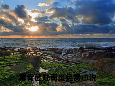 慕雾茵陆司炎的小说免费阅读（慕雾茵陆司炎小说免费阅读）全文免费阅读大结局-慕雾茵陆司炎热门榜单好书推荐