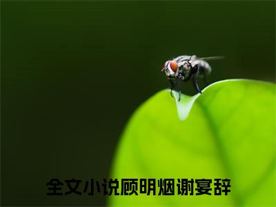 顾明烟谢宴辞书名是《顾明烟谢宴辞》在线赏析_顾明烟谢宴辞txt小说阅读_顾明烟谢宴辞在线阅读笔趣阁