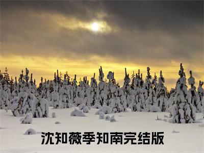沈知薇季知南小说免费阅读无弹窗,小说名字是：沈知薇季知南的小说在线阅读无删减