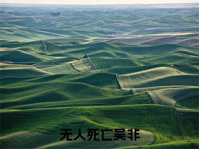无人死亡吴非言情小说免费观看-小说(无人死亡吴非)最新章节阅读在线赏析