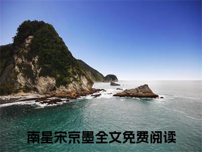 南星宋京墨在线阅读（南星宋京墨小说）全文免费阅读无弹窗大结局_南星宋京墨免费最新章节列表_笔趣阁（南星宋京墨小说）