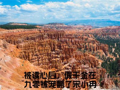 被读心后，假千金在九零被宠翻了宋小冉（被读心后，假千金在九零被宠翻了宋小冉)全文免费阅读无弹窗大结局_被读心后，假千金在九零被宠翻了宋小冉全文免费阅读_笔趣阁（被读心后，假千金在九零被宠翻了宋小冉）