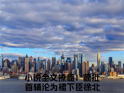 撩疯！疯批首辅沦为裙下臣徐北笙小说（撩疯！疯批首辅沦为裙下臣徐北笙）全文免费阅读无弹窗大结局_撩疯！疯批首辅沦为裙下臣徐北笙（撩疯！疯批首辅沦为裙下臣徐北笙小说）最新章节列表_笔趣阁（撩疯！疯批首辅沦为裙下臣徐北笙）