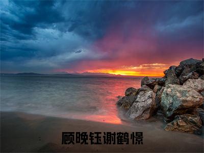顾晚钰谢鹤憬精选小说大结局阅读-最新小说(顾晚钰谢鹤憬)全文阅读