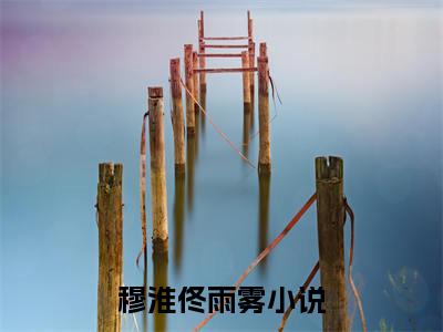 穆淮佟雨雾全文免费阅读无弹窗大结局，穆淮佟雨雾完整版在线阅读