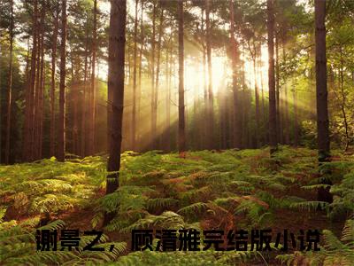 谢景之，顾清雅全文免费阅读无弹窗大结局_（谢景之，顾清雅在线阅读）谢景之，顾清雅最新章节完整版阅读