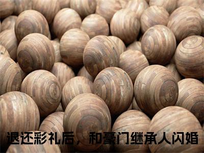 退还彩礼后，和豪门继承人闪婚小说（江亦舟陆知远）全文免费阅读无弹窗大结局_（退还彩礼后，和豪门继承人闪婚）江亦舟陆知远小说免费阅读最新章节列表