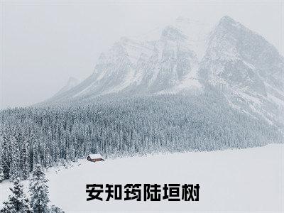 豪门弃妇原来是大佬最新章节（安知筠陆垣树）全文免费阅读无弹窗大结局_安知筠陆垣树小说全文免费阅读正版无弹窗