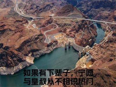 如果有下辈子，宁愿与皇叔从不相识（顾晚钰谢鹤憬）全文免费阅读无弹窗-顾晚钰谢鹤憬主角叫如果有下辈子，宁愿与皇叔从不相识的小说全章节免费阅读