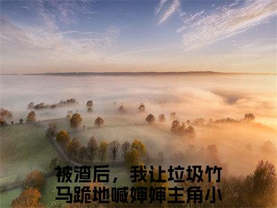叶芊芊谢辞年（被渣后，我让垃圾竹马跪地喊婶婶）最新章节在线阅读-老书虫推荐叶芊芊谢辞年小说