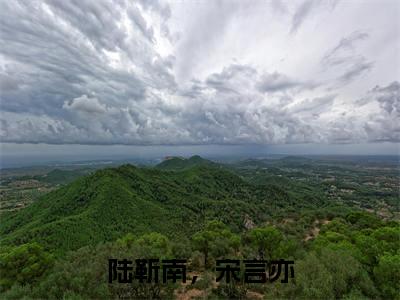陆靳南，宋言亦《陆靳南，宋言亦小说免费阅读》完整_陆靳南，宋言亦小说（陆靳南，宋言亦）全文免费阅读大结局