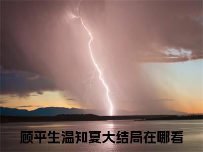 顾平生温知夏多人追的小说在哪里可以看夏夏，说你爱我小说免费阅读全章节