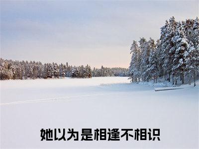她以为是相逢不相识精选热门好书-她以为是相逢不相识（池安程禹）全文无删减版在线阅读