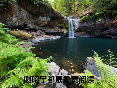 小说（落叶纷纷，预示着新生）谢昭宁祁晟全文阅读-落叶纷纷，预示着新生（谢昭宁祁晟）老书虫书荒推荐热点小说