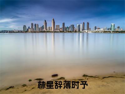 星河荡漾（林星辞薄时予）全文免费阅读无弹窗-林星辞薄时予主角叫星河荡漾的小说全章节免费阅读