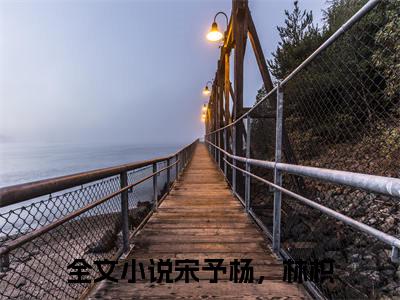 宋予杨，林枳（宋予杨，林枳)全文免费阅读无弹窗大结局_宋予杨，林枳（宋予杨，林枳）全文完整无删减版免费阅读（宋予杨，林枳）