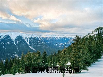 秦雪棠谢景辰精彩小说（秦雪棠谢景辰）阅读大结局 秦雪棠谢景辰免费版小说更新阅读_笔趣阁