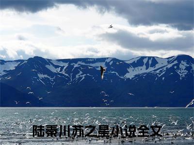 陆秦川苏之星(陆秦川苏之星)精彩美文-陆秦川苏之星免费阅读