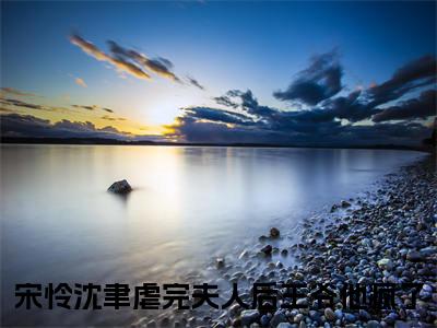 宋怜沈聿（虐完夫人后王爷他疯了）在哪免费看-宋怜沈聿小说（虐完夫人后王爷他疯了）全文完整版免费阅读