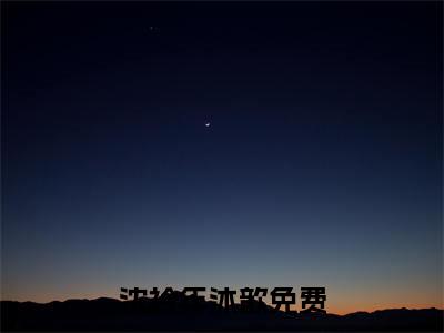 沈衿年沐歆（沈衿年沐歆）全文免费阅读无弹窗大结局_沈衿年沐歆全文在线阅读无弹窗