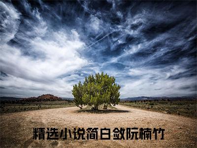 《简白敛阮楠竹小说》在线阅读-简白敛阮楠竹免费完整版在线阅读